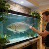 Magnetic Glass Cleaner for Aquariums view 2