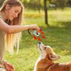 Generic Two-Color Dog Training Clicker view 3