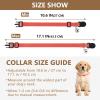 Persimmon Kitten Collar with Metal Bell, Lightweight, for Small Dogs, 2 Pack view 4