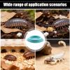 Dubia Roach Feeding Station view 2