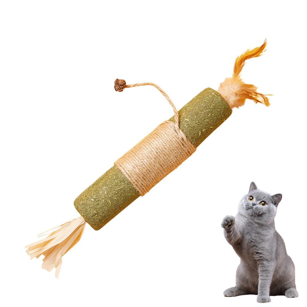 Catnip Chew Toy - Natural Dental Care Interactive