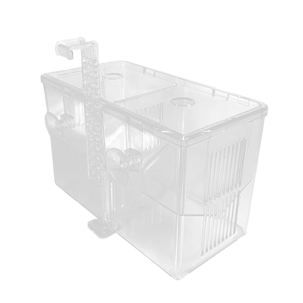 Transparent Aquarium Breeding and Fry Separation Box