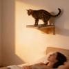 Wooden Cat Wall Shelves and Climbing Furniture view 3