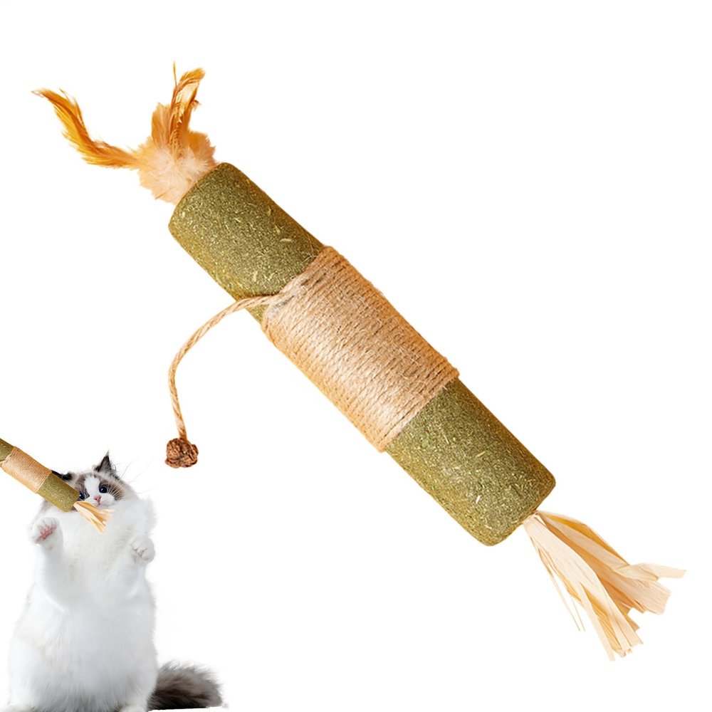 Generic Catnip Chew Toy, Interactive Cat Toy