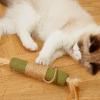 Generic Catnip Chew Toy, Interactive Cat Toy view 3