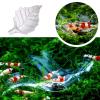 Leaf-Shaped Feeding Bowl for Aquariums view 2