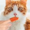 Finger Toothbrush for Cats and Dogs view 2