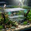QWORK Aquarium Fry Breeding Box, 127 × 30 × 51 mm, with 2 Suction Cups view 2