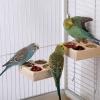 Bird Food Toy - Natural Wood Activity Toy for Birds view 3
