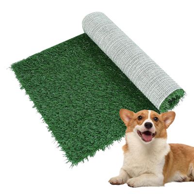 Bubble Fish Lamp, Artificial Puppy Toilet Training Mat