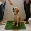 Artificial Grass Dog Toilet Mat for Outdoor Use view 3