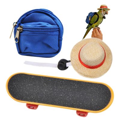 Bearded Dragon Backpack | 3-Piece Adjustable Lizard Skateboard Set