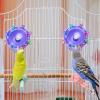 Generic Bird Rotating Running Wheel view 3