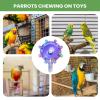 Generic Bird Rotating Running Wheel view 4