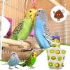 Adjustable Cotton Bird Diaper Suit for Medium Cockatiels, Budgies, and Lovebirds view 3