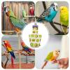 Adjustable Cotton Bird Diaper Suit for Medium Cockatiels, Budgies, and Lovebirds view 4