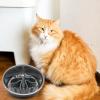 Slow Feeder Bowl Insert for Dogs and Cats view 2