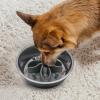 Slow Feeder Bowl Insert for Dogs and Cats view 3