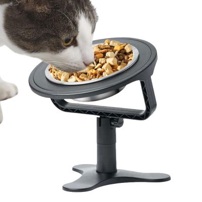Raised Dog Bowl for Slow Feeding