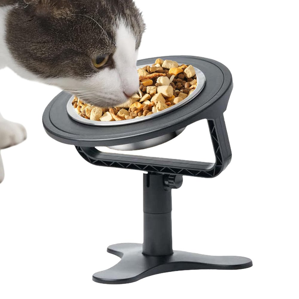 Raised Dog Bowl for Slow Feeding