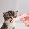 Pet Nursing Bottle with Removable Nipples view 2