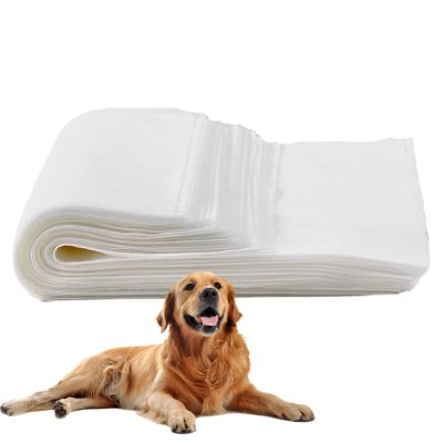 Dog Training Pads, 50 Count, Highly Absorbent