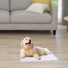 Dog Training Pads, 50 Count, Highly Absorbent view 3