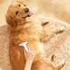 Pet Undercoat Rake view 4