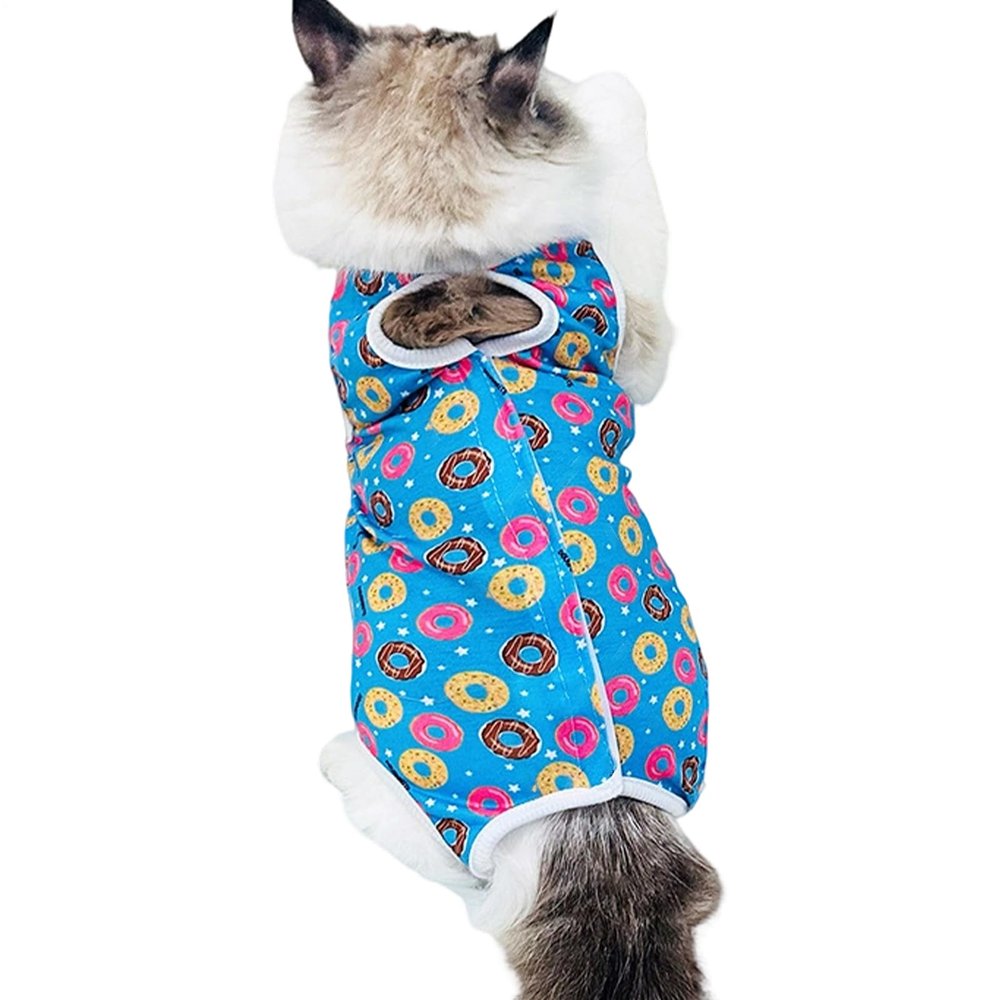 Post-Operative Cat Suit