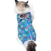 Post-Operative Cat Suit view 1
