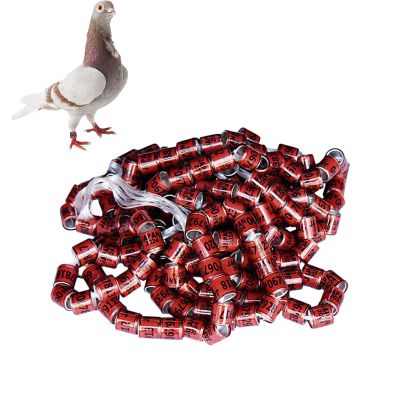 2025 Pigeon Leg Bands