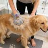 Cat Hair Removal Glove | Washable & Reversible view 2