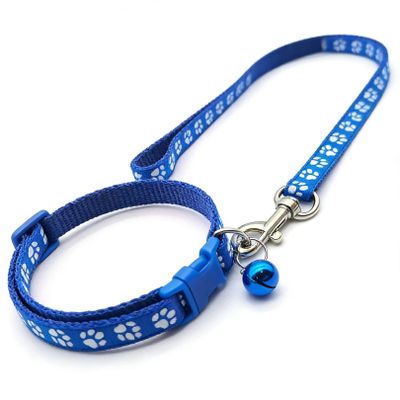 Puppy Collar and Leash Set