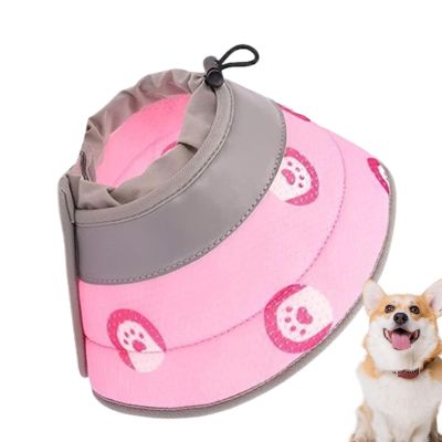 Cat Recovery Collar