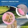 Cat Recovery Collar view 3