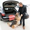 Portable Foldable Dog Ramp for Vehicle Trunks view 2