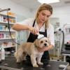 Pet Hair Remover with Non-Slip Grip view 2