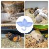 Hamster Feeding Bowl - Three-Leaf Design view 4