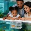 Transparent Fish Breeding Box with Fry Divider view 2