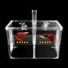 Transparent Fish Breeding Box with Fry Divider view 3