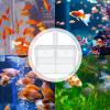 Transparent Fish Breeding Box with Fry Divider view 4
