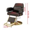 Salon Chair for Hair Stylists, Modern Barber Chair with 360° Swivel and Adjustable Height, Plush Upholstery, Light Gray view 3