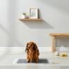 Homgoday Dog Training Pads for Small Breeds - 60x45cm view 1