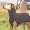Whippet Dog Sweater view 2