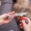 BommFu Dog Dematting Comb view 3