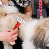 Dog Detangling Comb | Undercoat Brush for Pet Grooming view 3