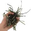 Grass Hay for Small Pets, 300 g Bag, Barley Grass view 4