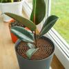 POPETPOP 2-Pack Plastic Flower Pot Soil Protection Covers view 3