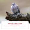 4-Piece Parrot Flight Suits for Cockatiels and Budgies view 4