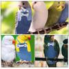 Toddmomy Washable Breathable Parrot Diaper Flight Suit for Small Parrots and Budgies view 4